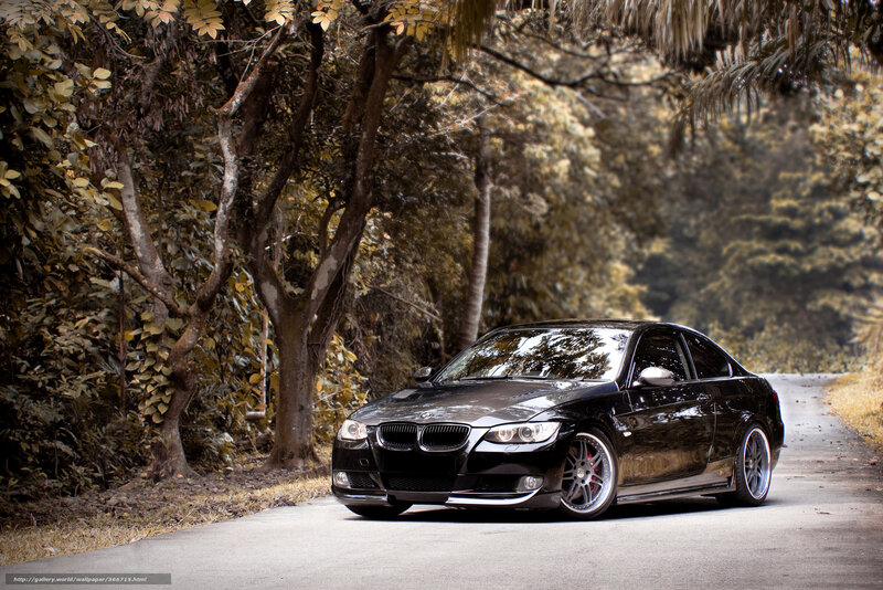 Black Bmw Coupe — Serene, Afternoon
