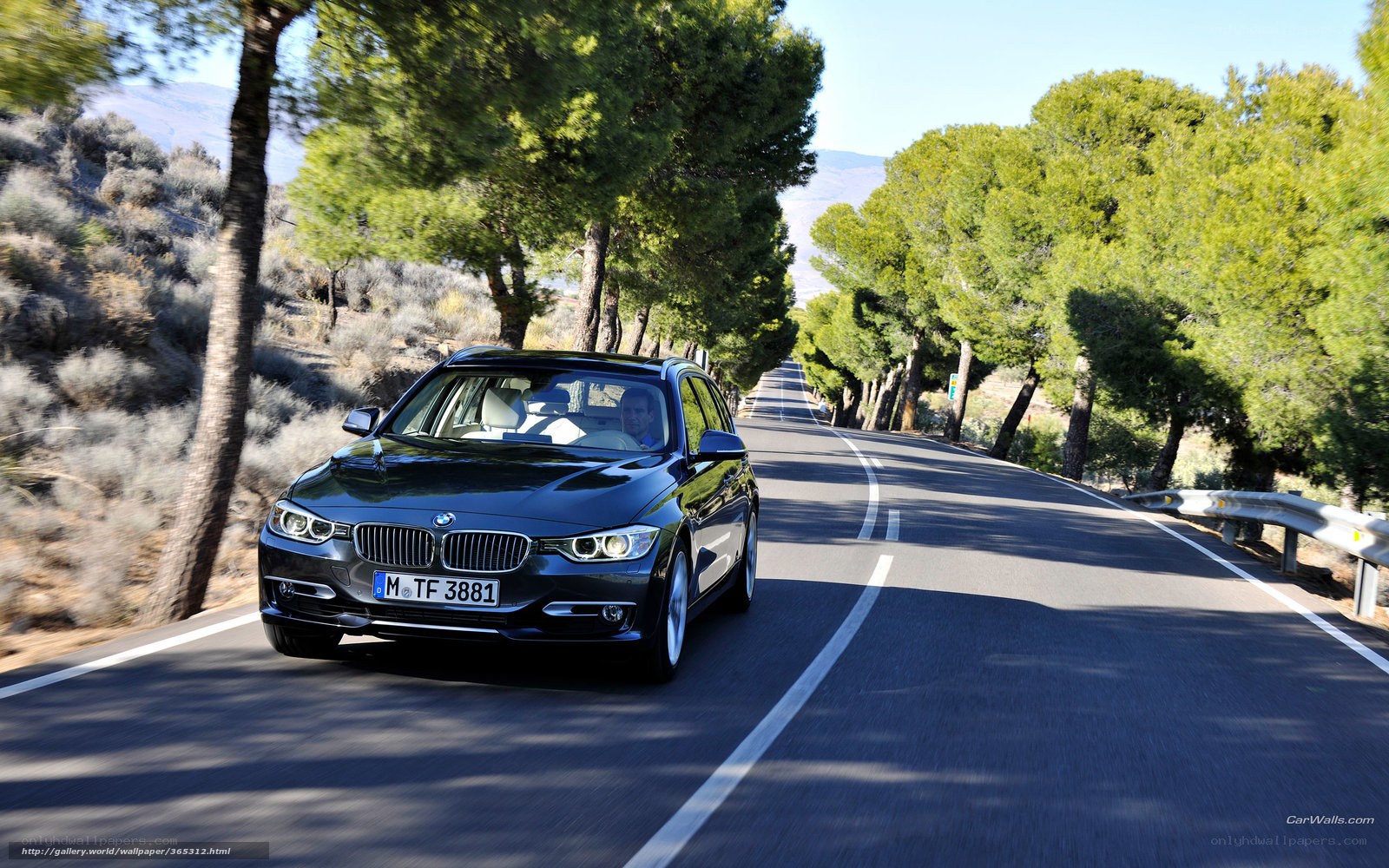 black bmw driving on a road