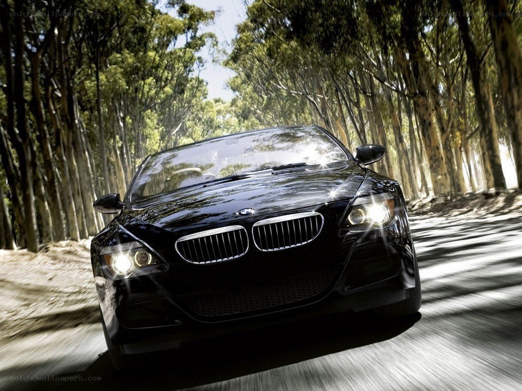 Black BMW driving on forest road
