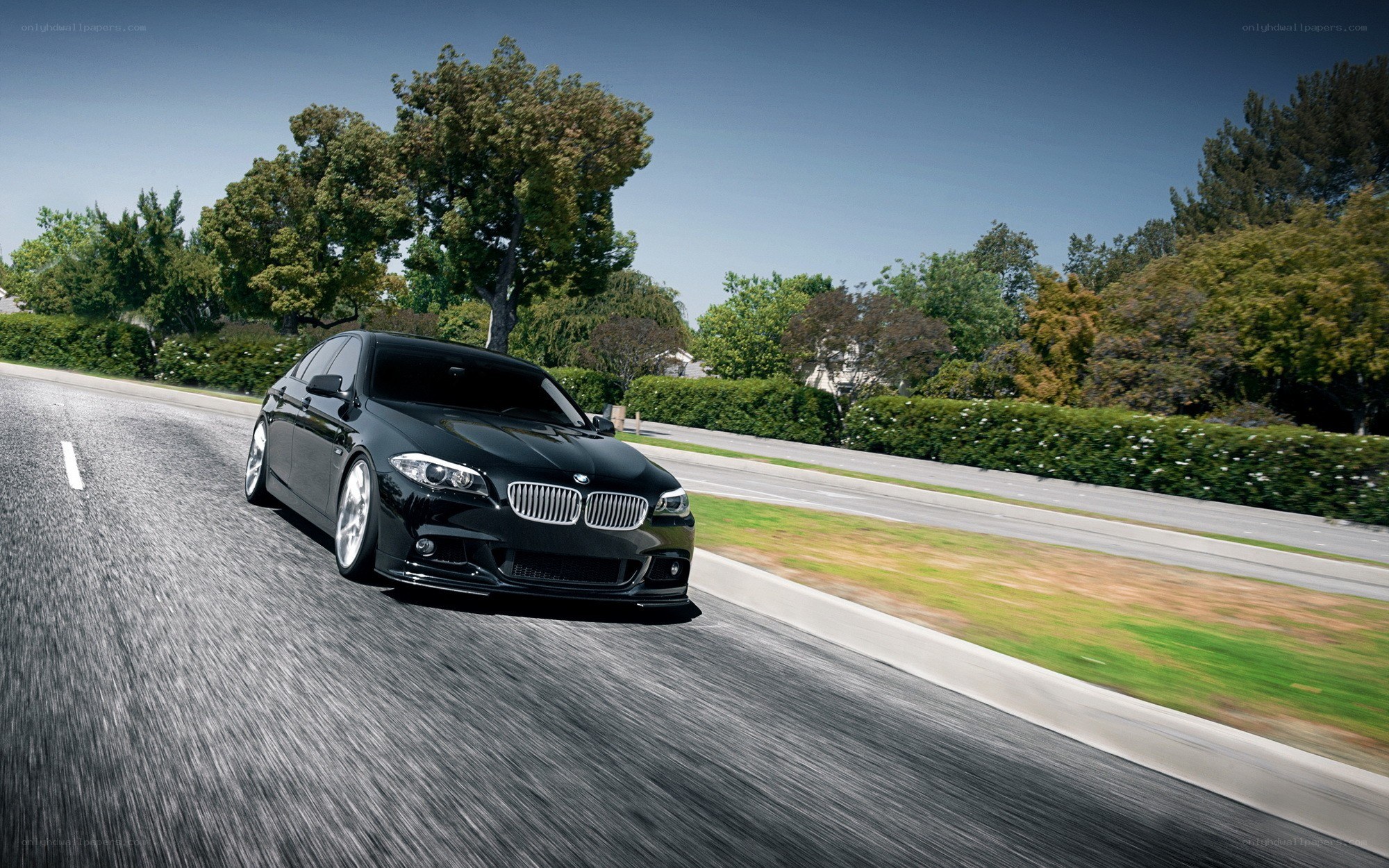 black bmw driving on road