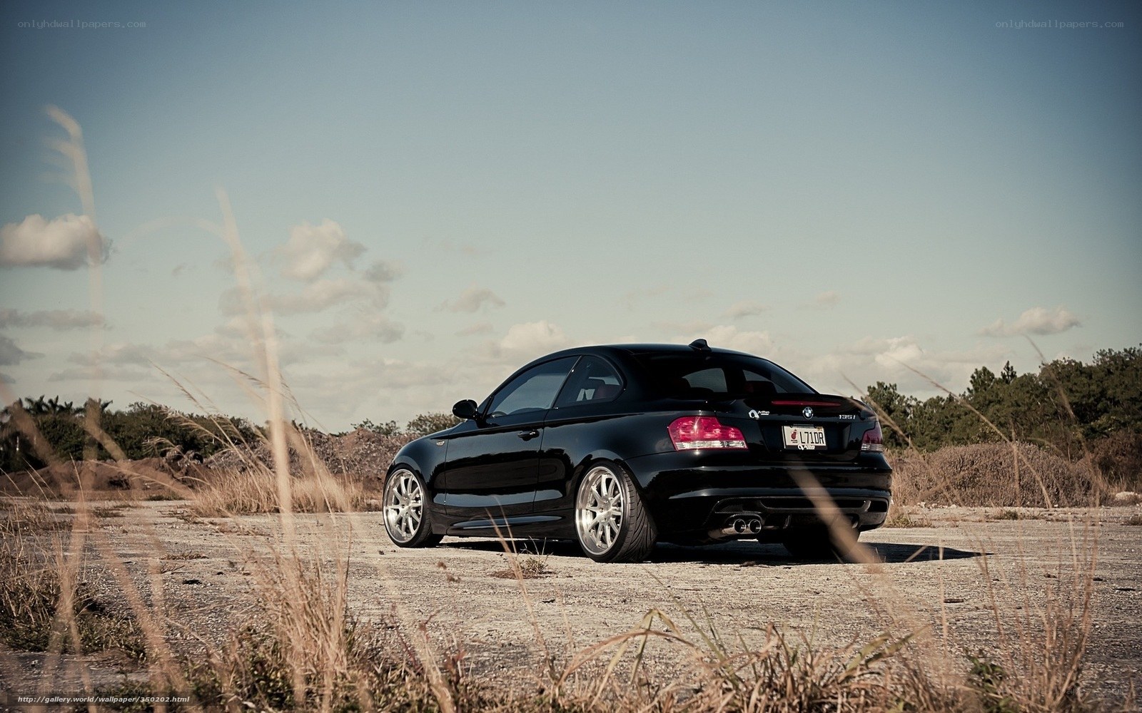 Black BMW in a field
