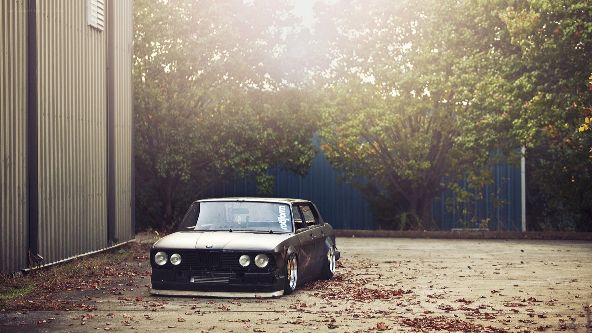Black BMW in a leafy lot
