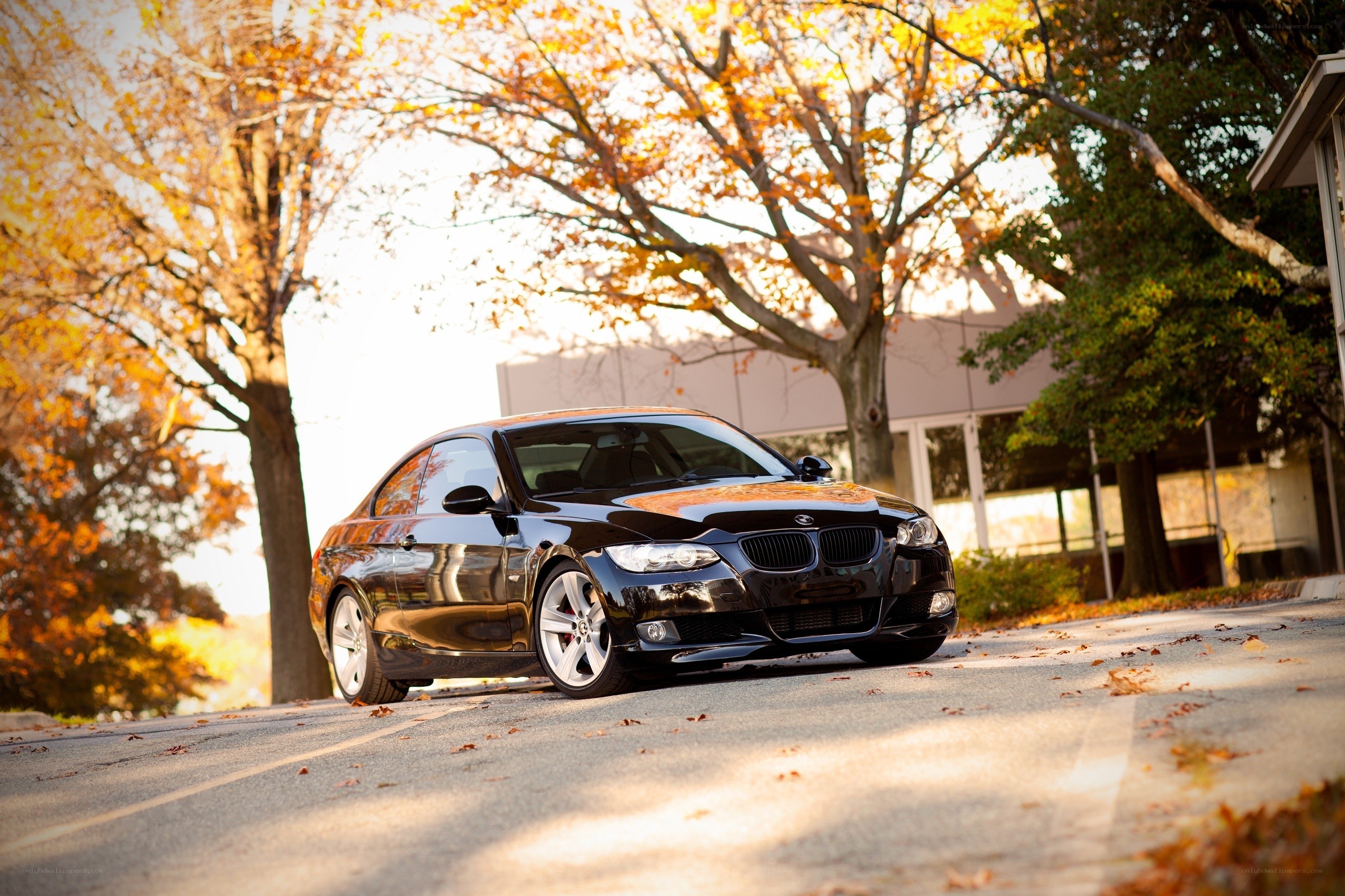 Black BMW in autumn