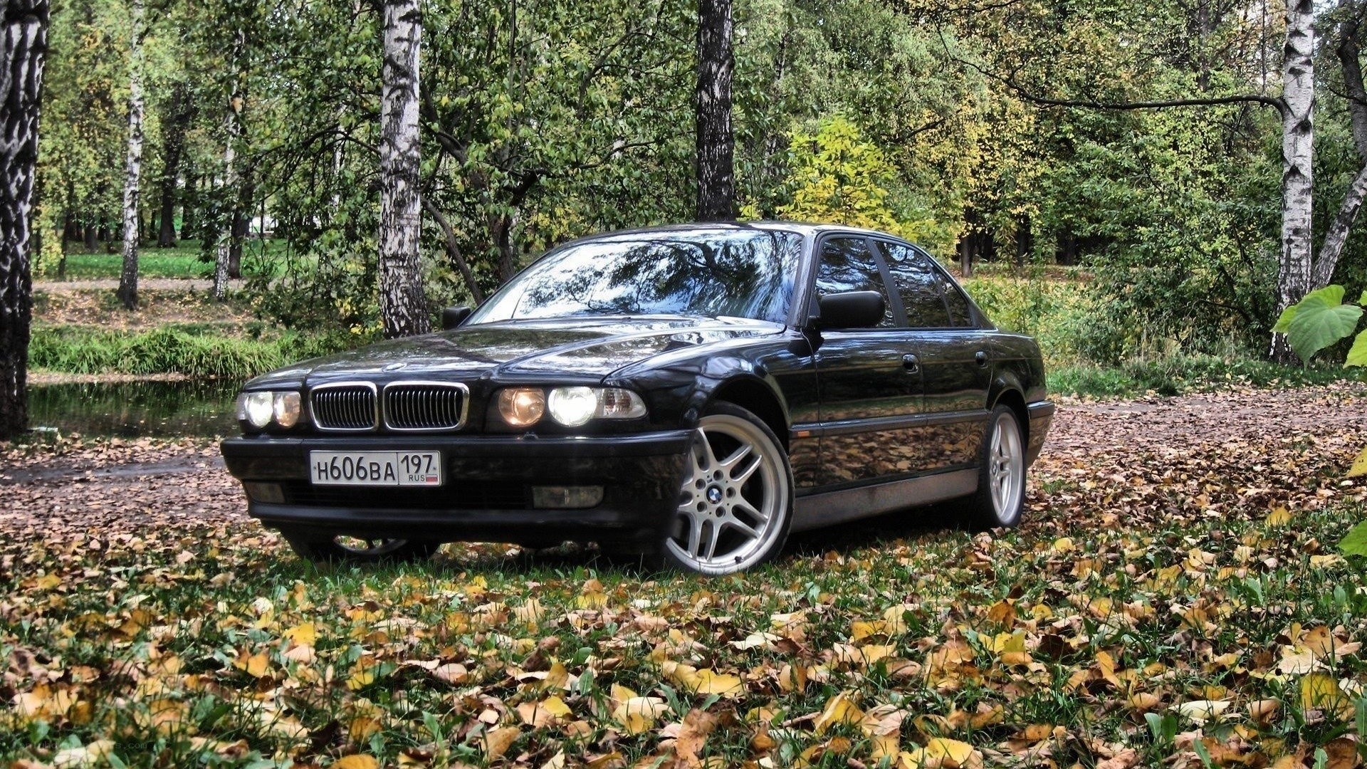 Black BMW in autumn forest