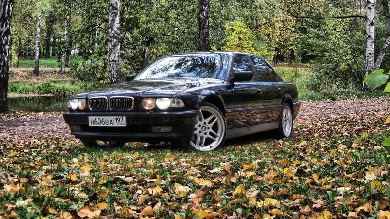 Black BMW in autumn forest