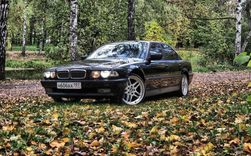 Black BMW in autumn park