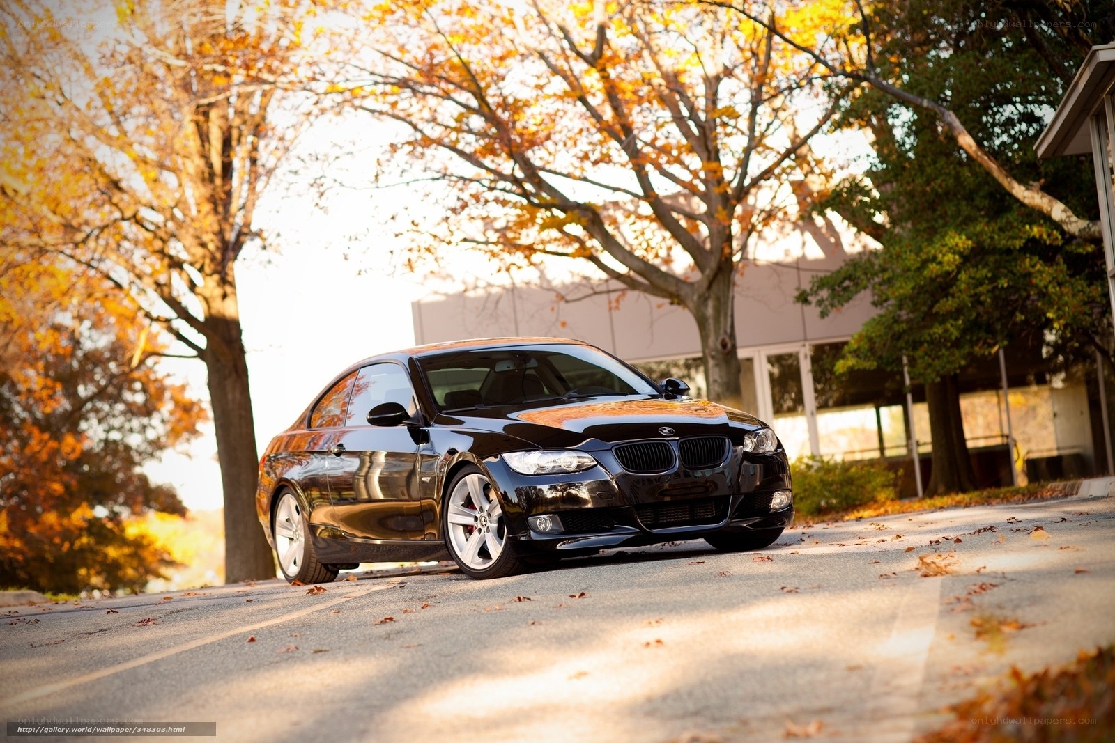 Black BMW in autumn