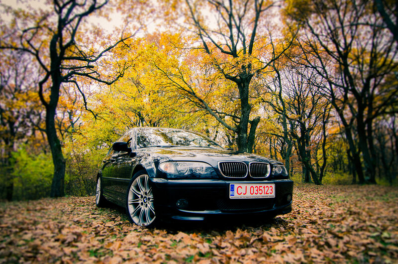 Black Bmw in Forest