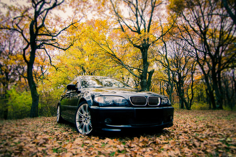 Black BMW in Forest — Yellow
