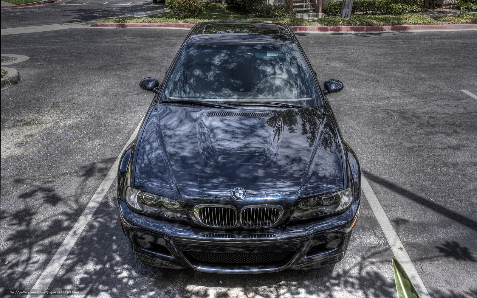 Black BMW in parking lot