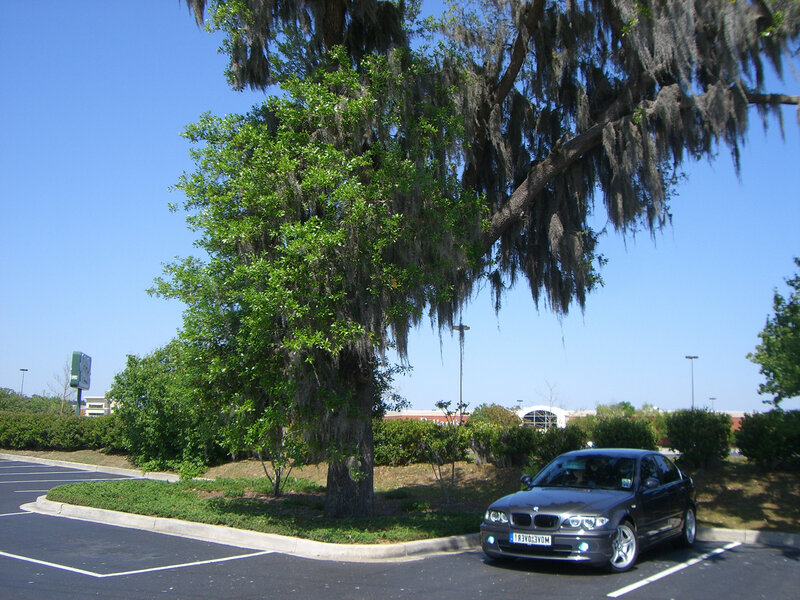 Black BMW in Parking Lot — Blue