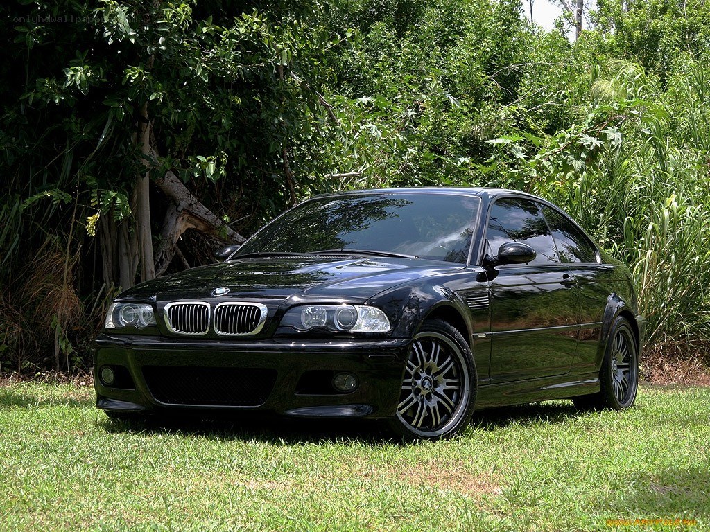 Black BMW M3 coupe on grass