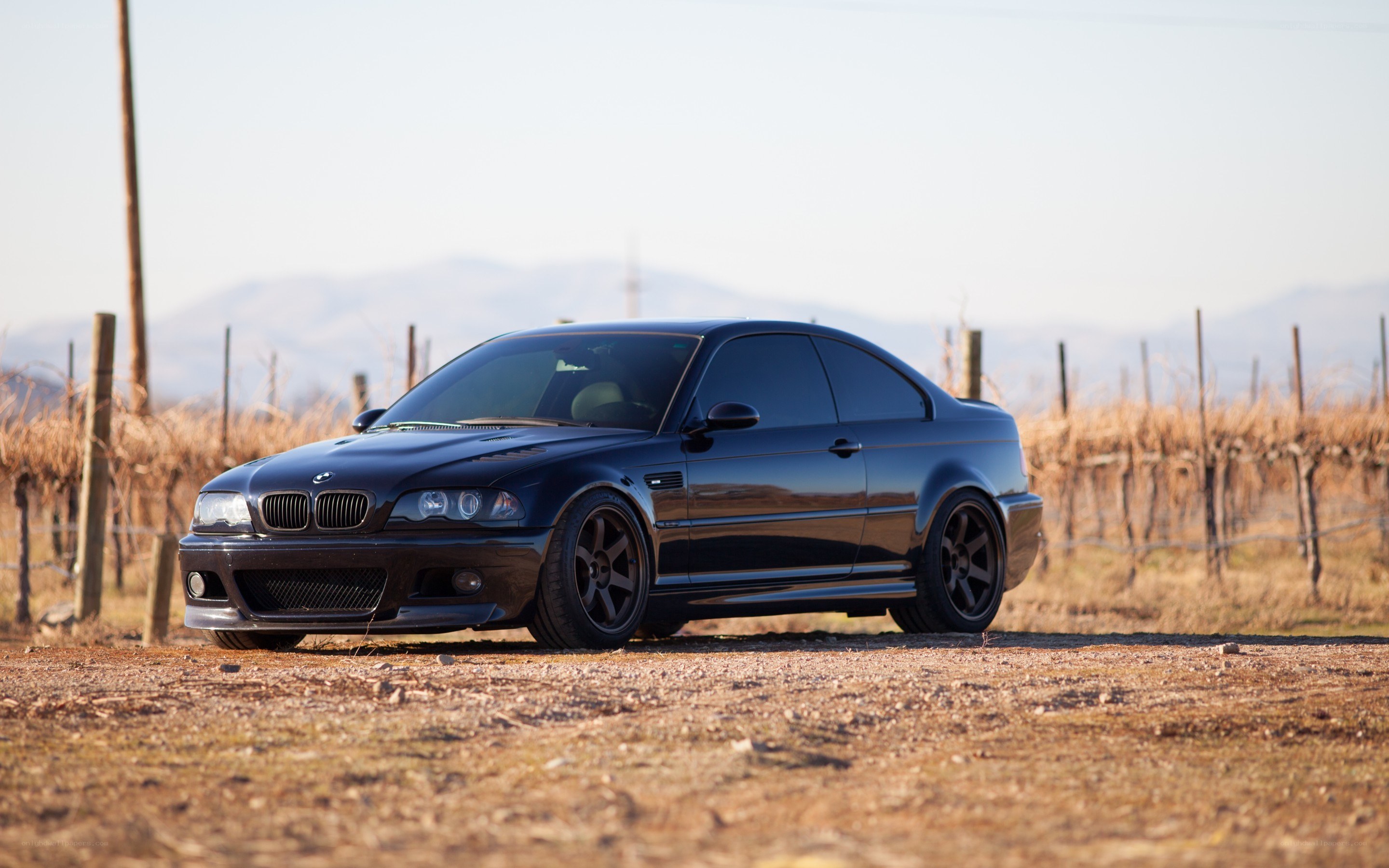Black BMW M3 in vineyard