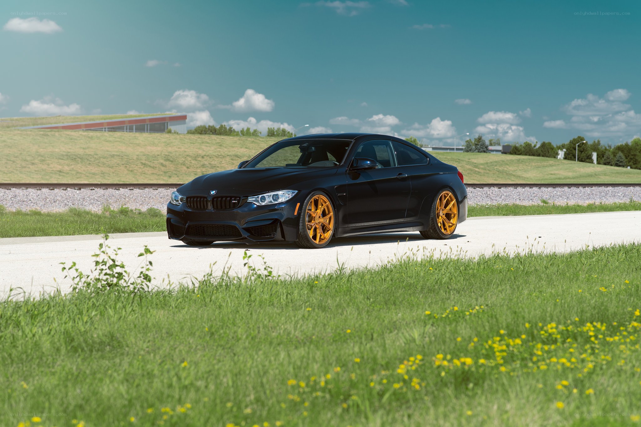 Black BMW M4 with orange wheels