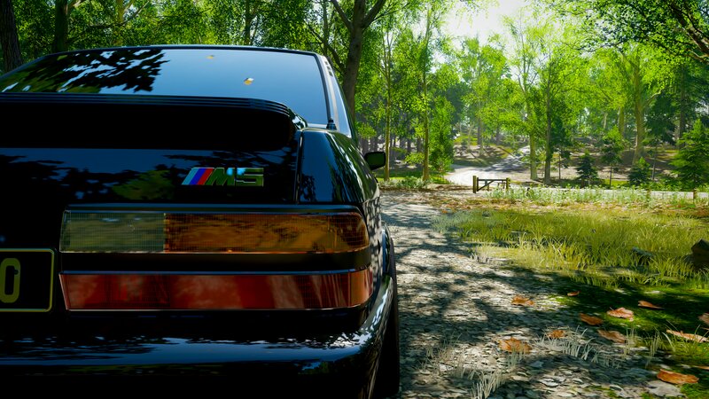 Black BMW M5 in Forest