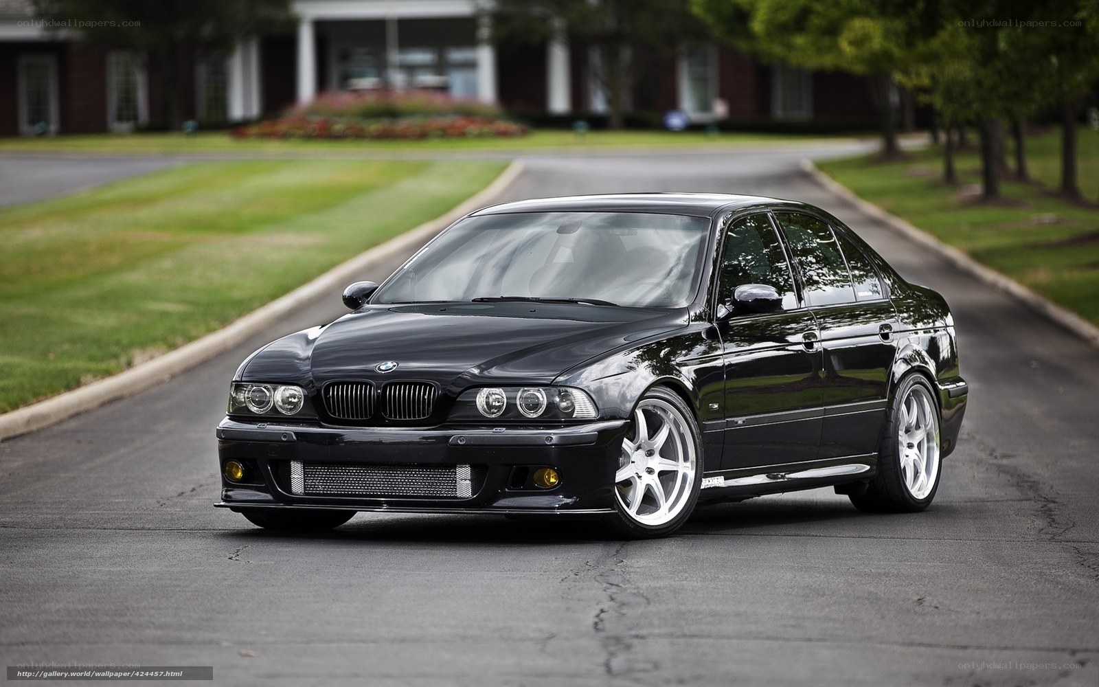 Black BMW M5 on a driveway