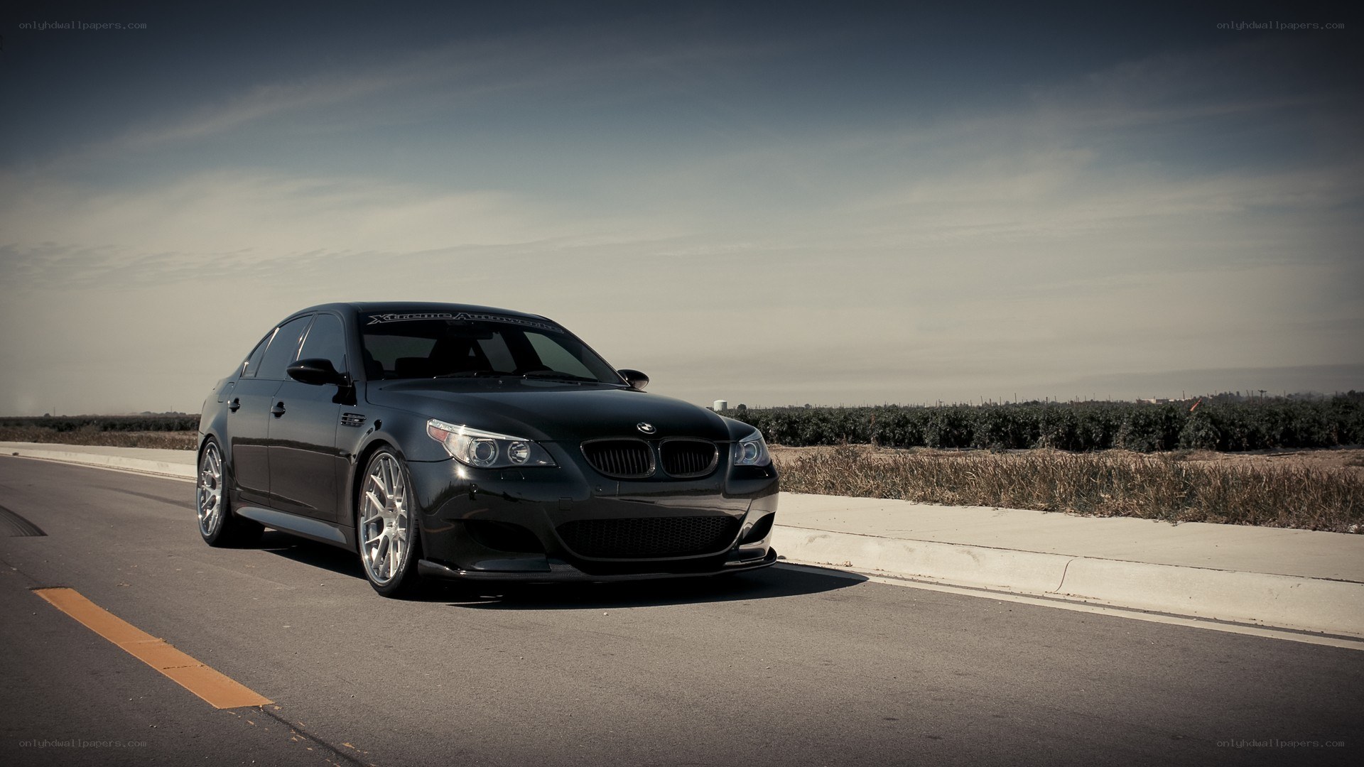black bmw m5 on road
