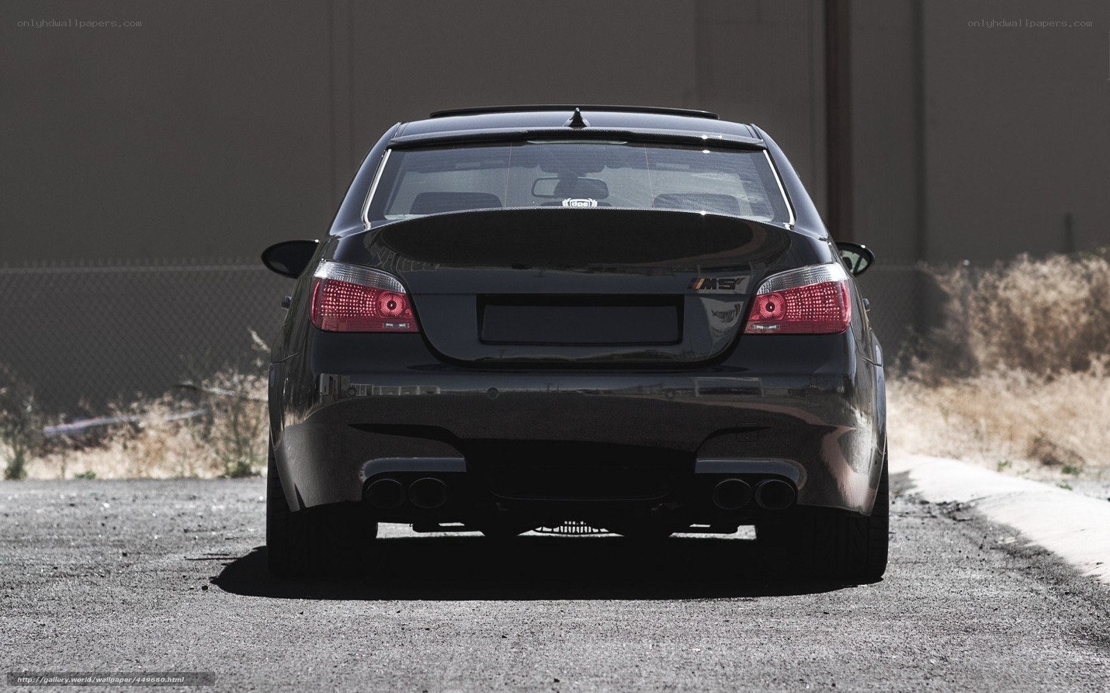black bmw m5 rear view
