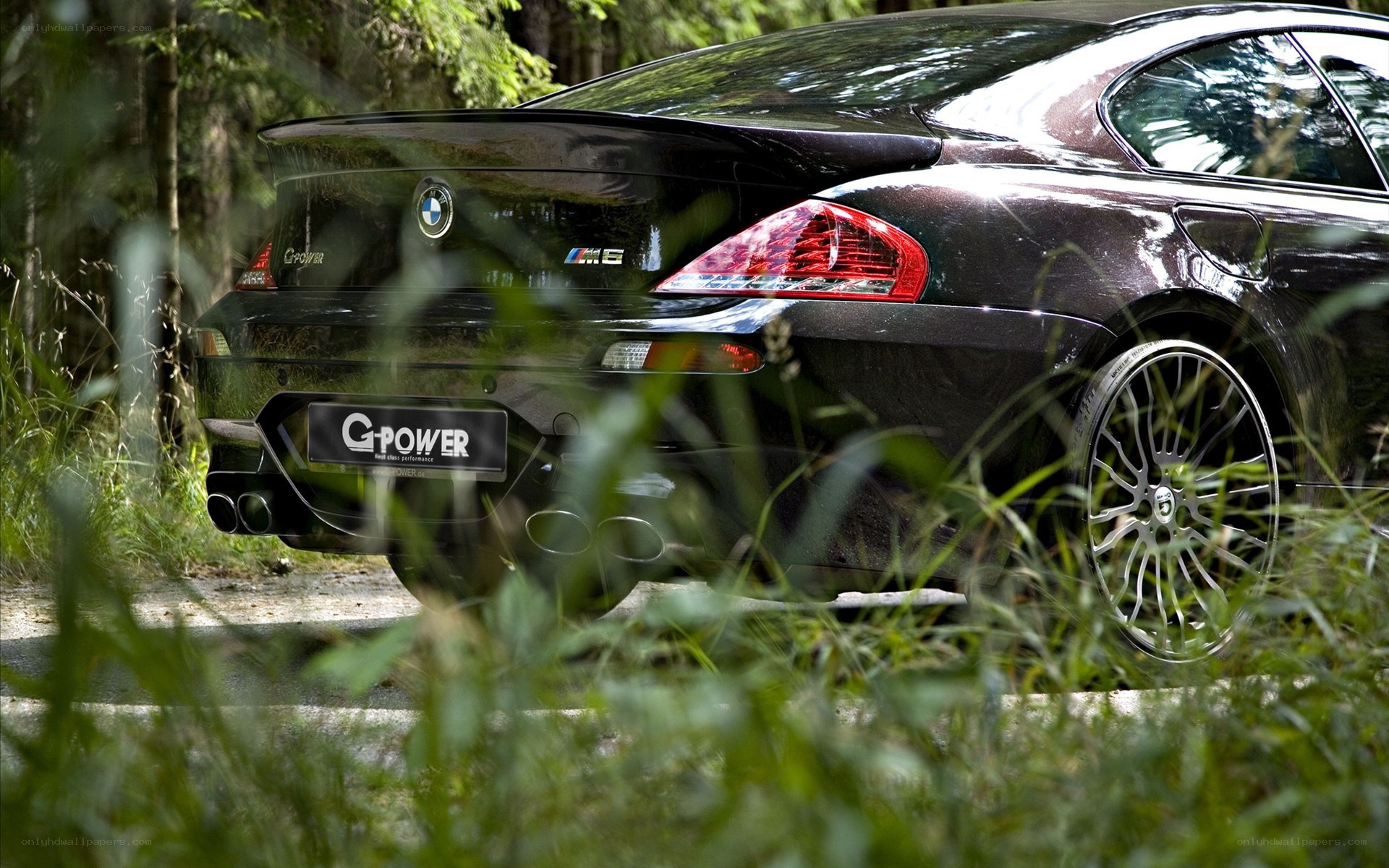Black BMW M6 in forest