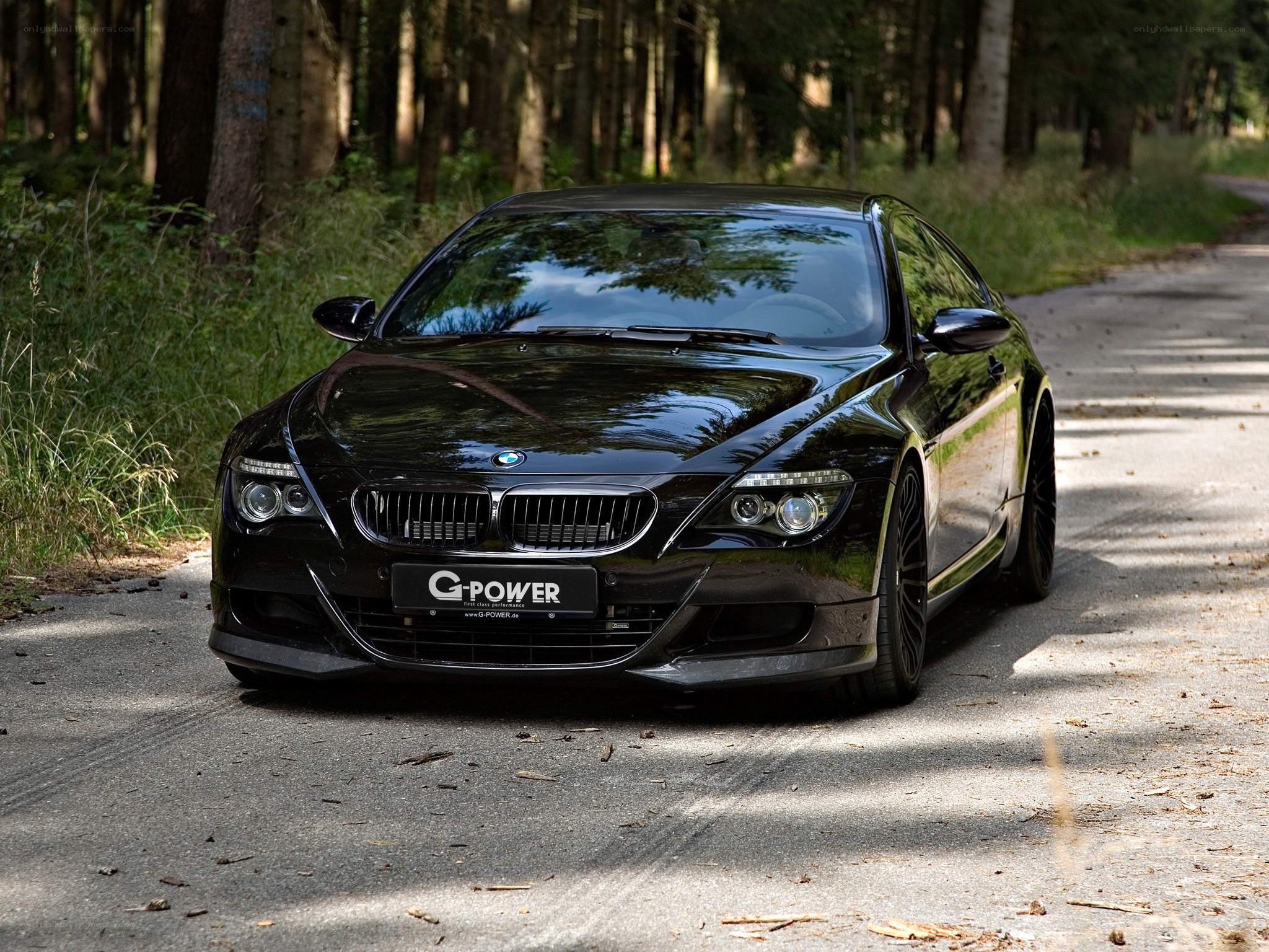 Black BMW M6 in forest