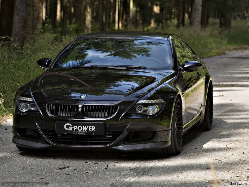 Black BMW M6 in forest