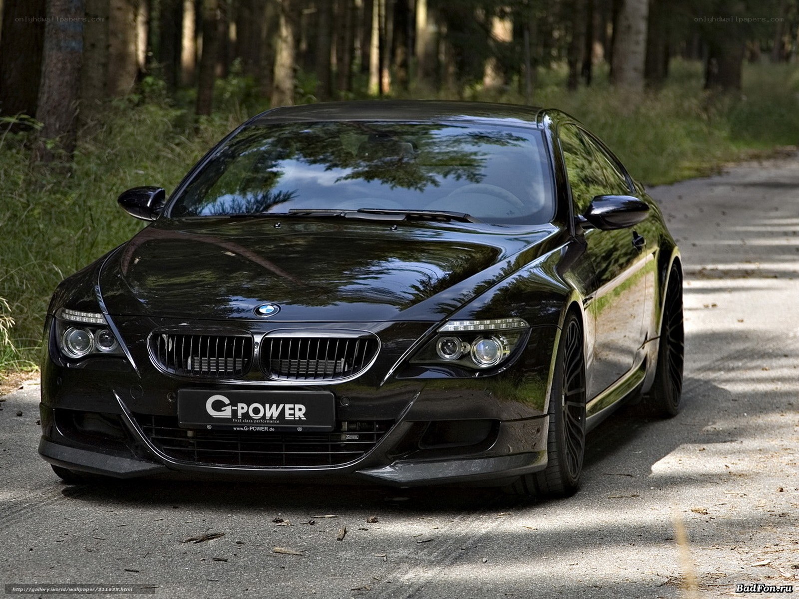 Black BMW M6 in forest