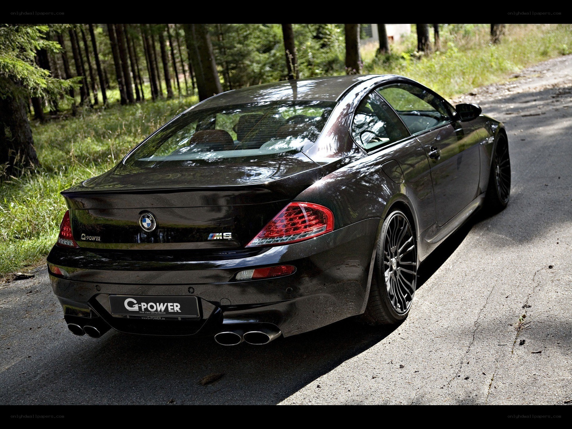 Black BMW M6 on forest road