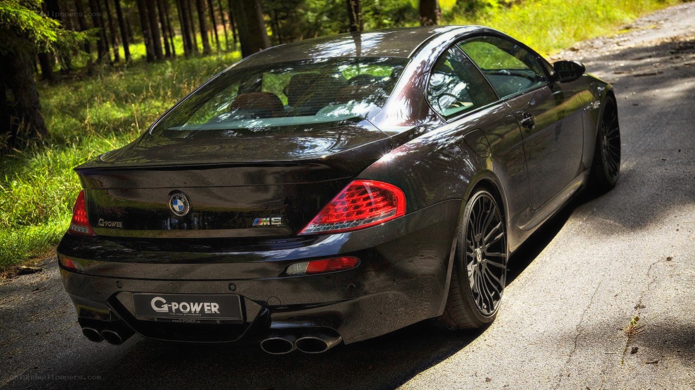 Black BMW M6 on forest road