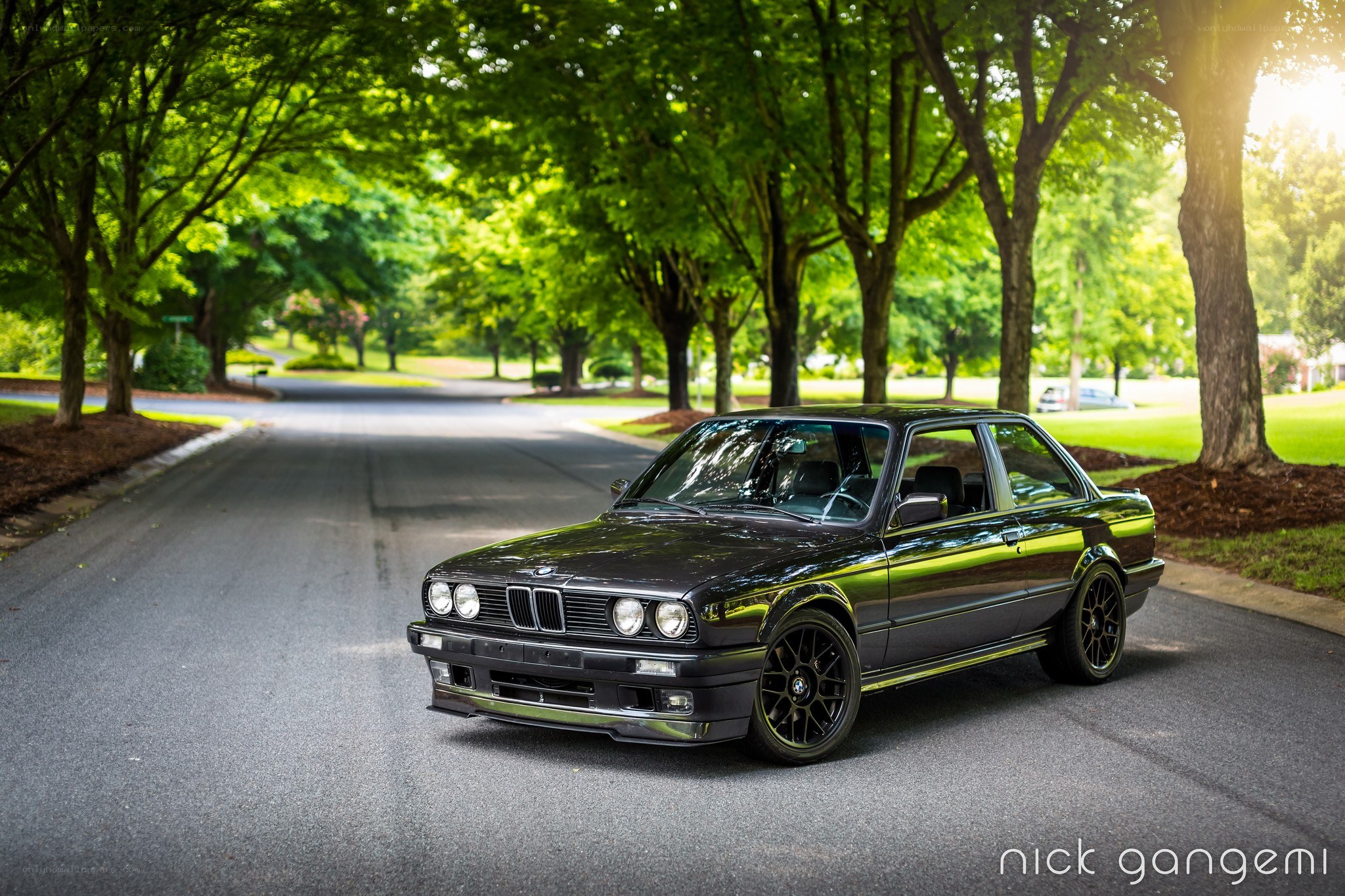 Black BMW on a tree-lined street