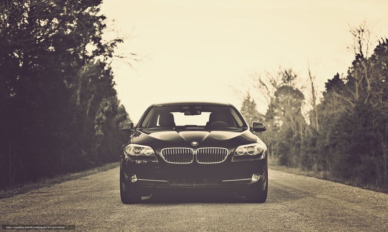 black bmw on country road