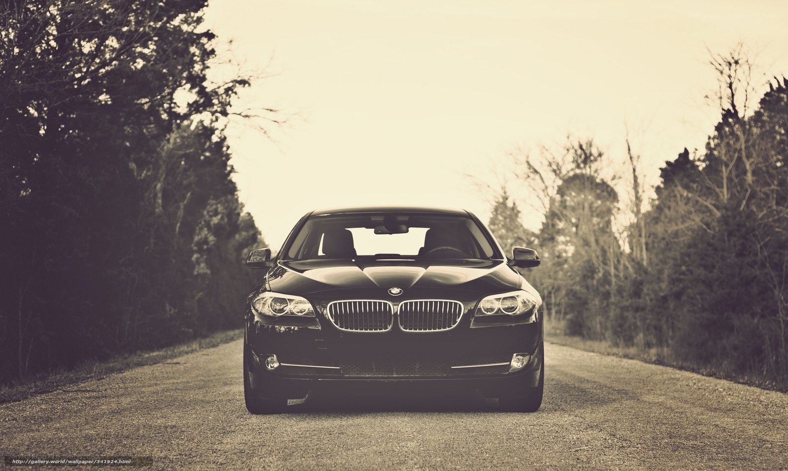 black bmw on country road