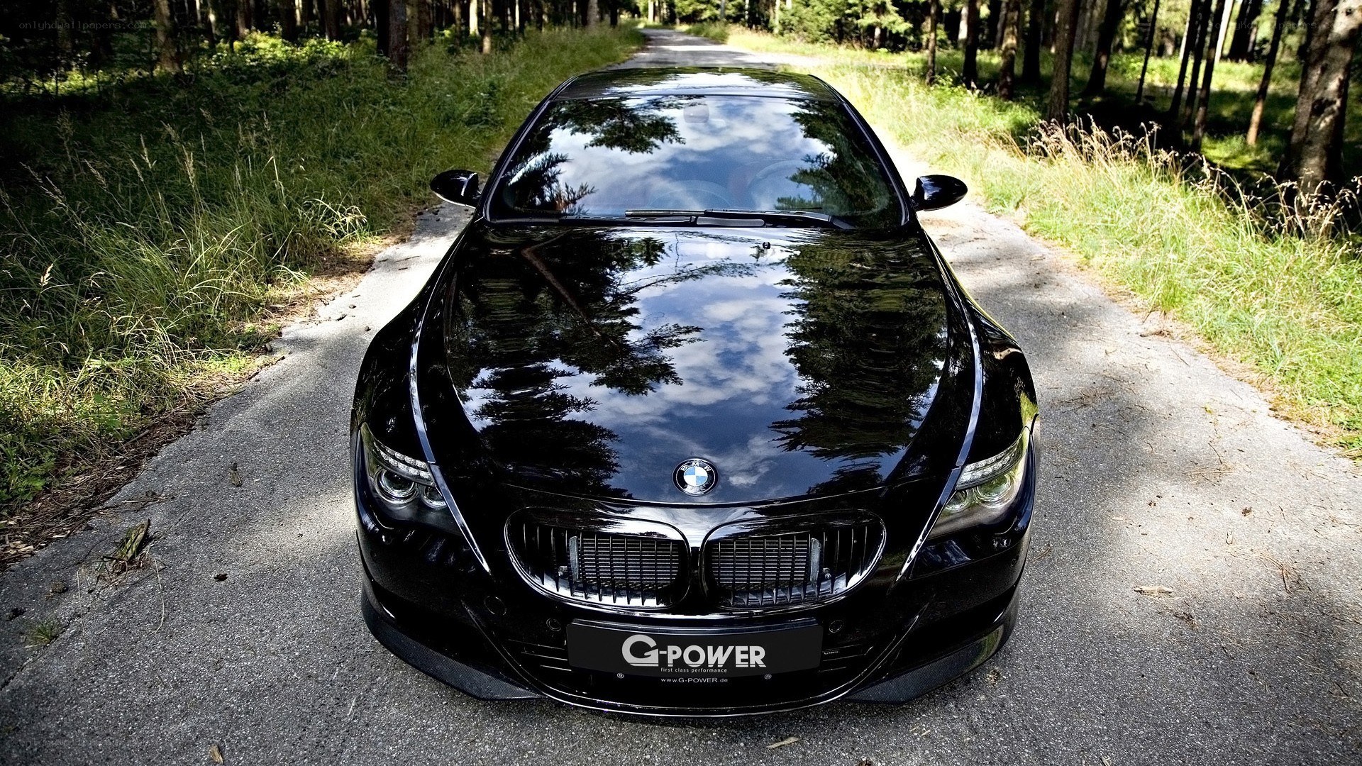 Black BMW on forest road