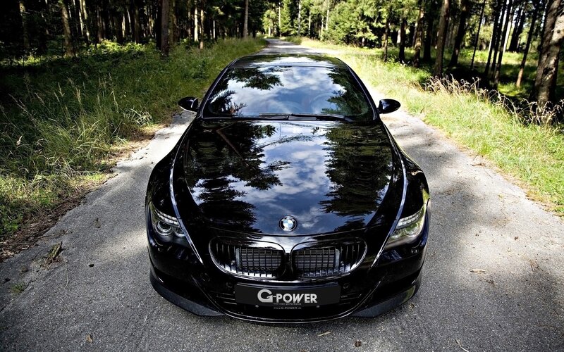 Black BMW on forest road