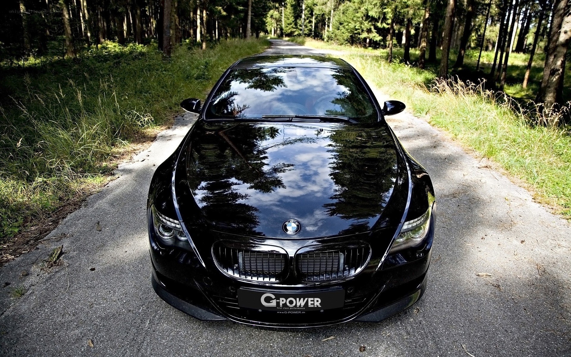 Black BMW on forest road
