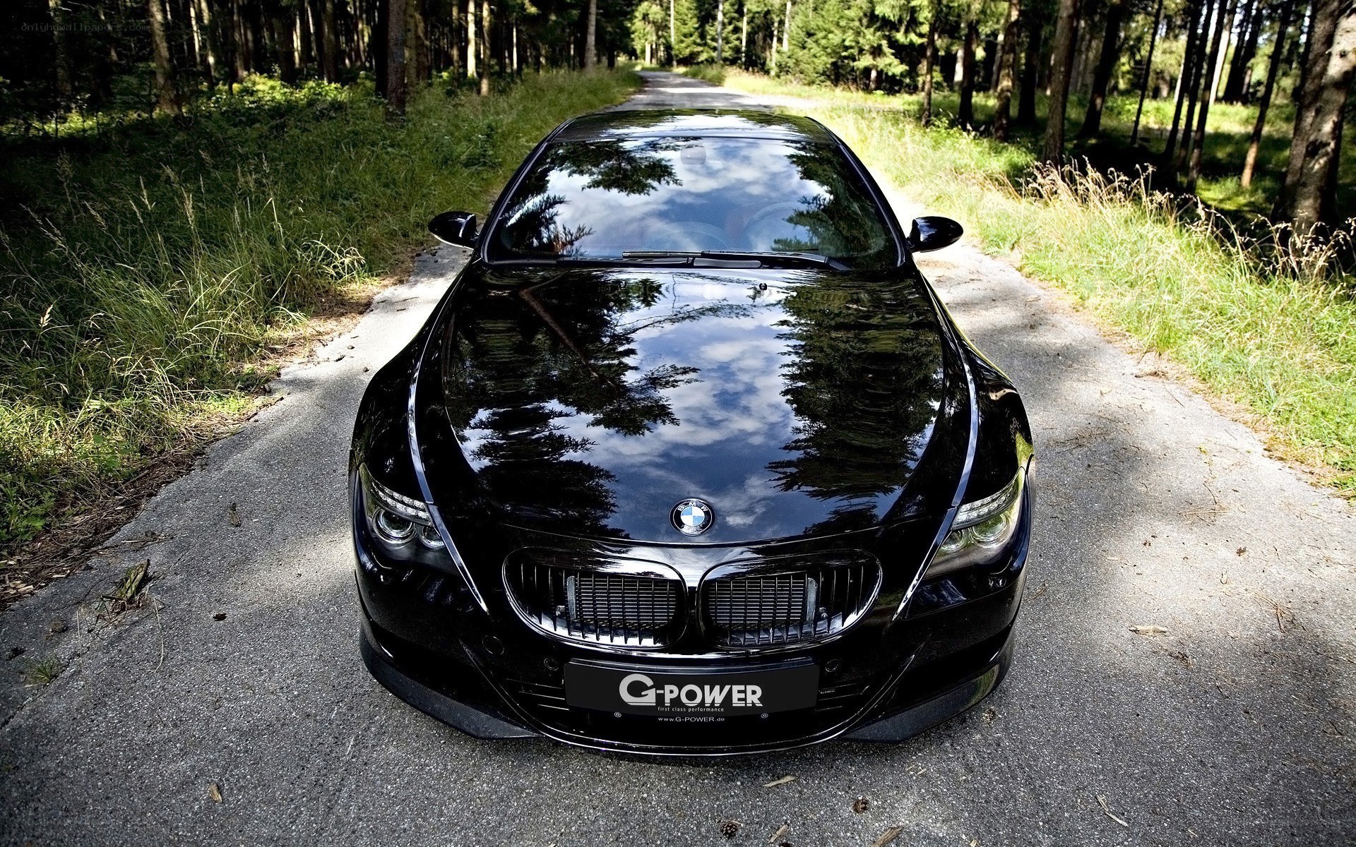 Black BMW on forest road