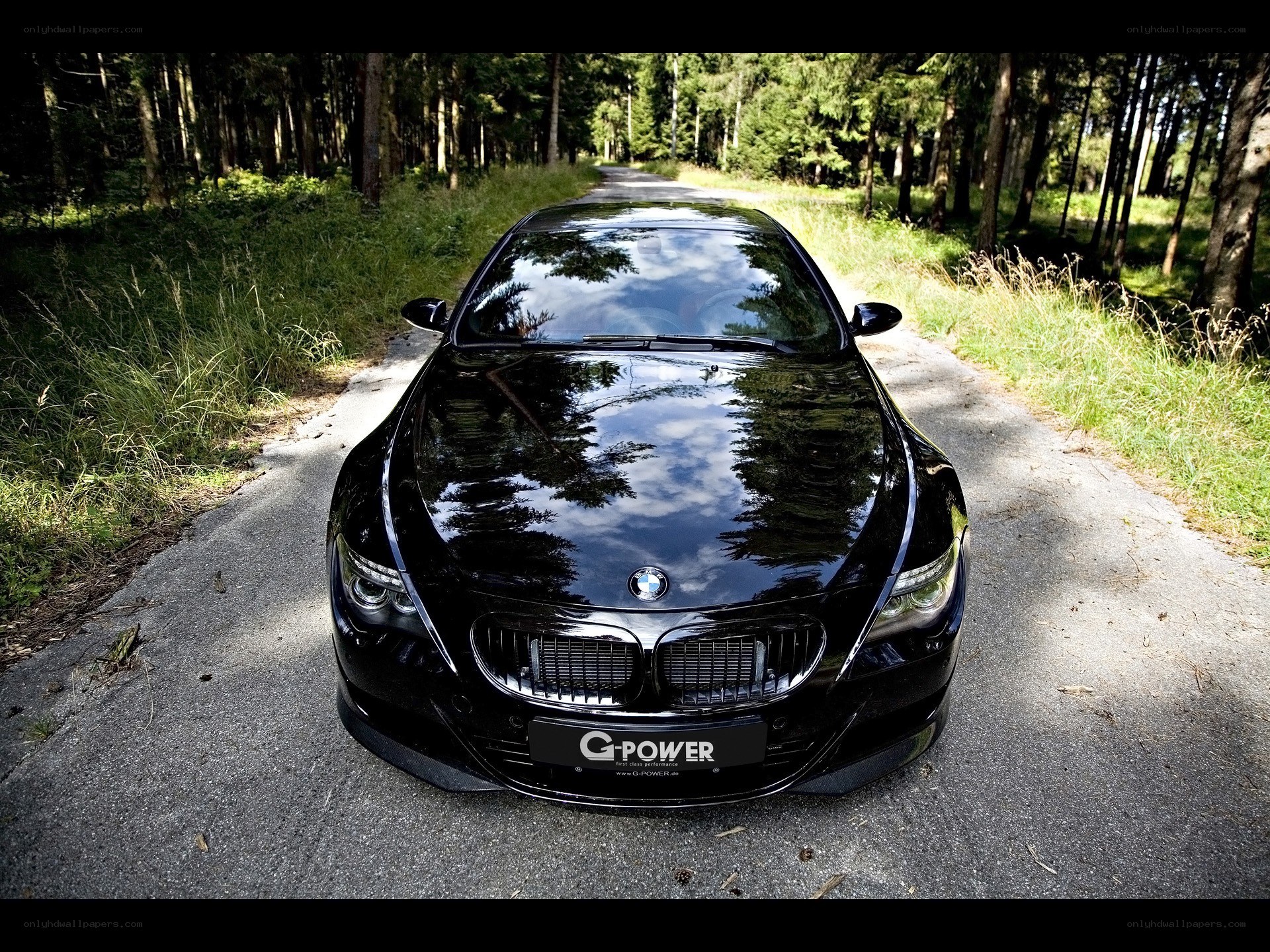 Black BMW on forest road