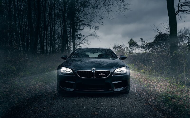 Black BMW on forest road