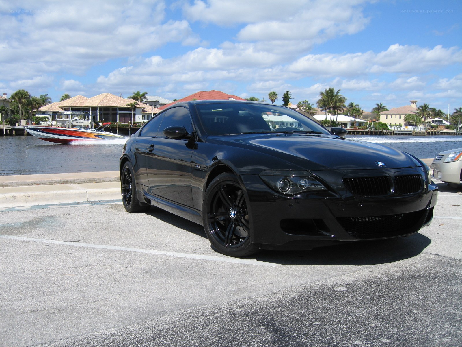 Black BMW parked by water