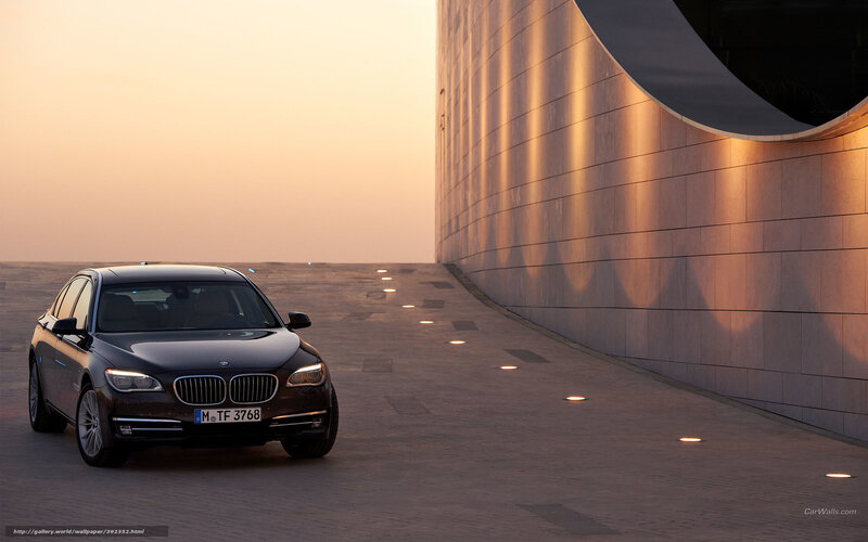 Black BMW Sedan — Brown, Serene