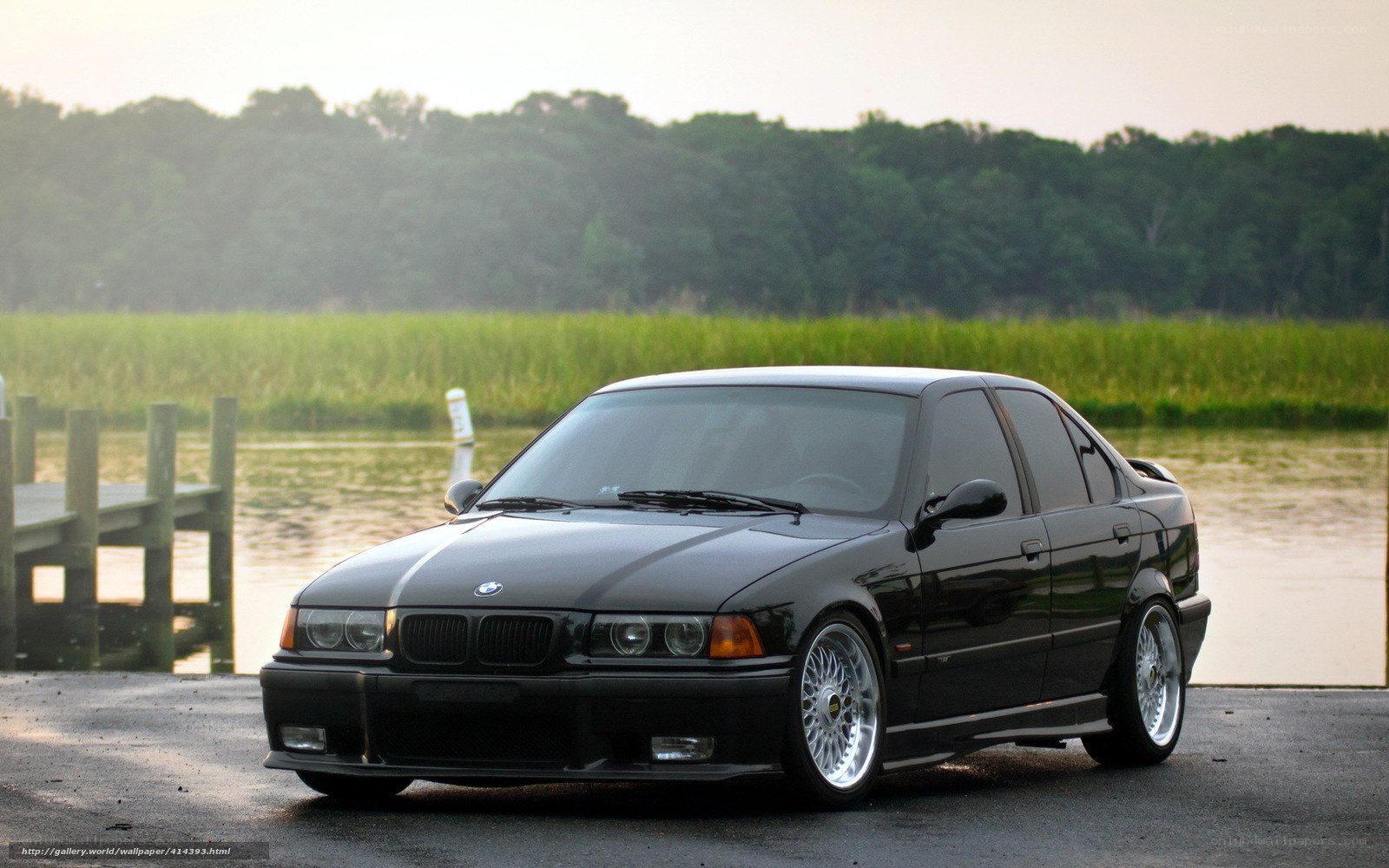 Black BMW sedan by the water