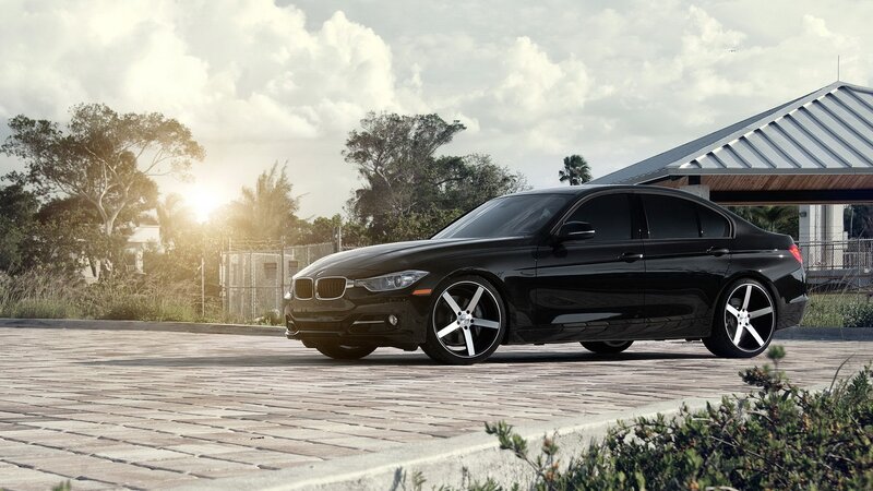 Black BMW Sedan — Dramatic, Sunset, Photograph, Car, Pavement, Trees