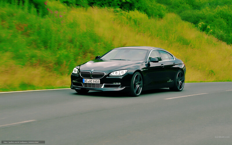 Black BMW Sedan — Dynamic, Afternoon, Photograph