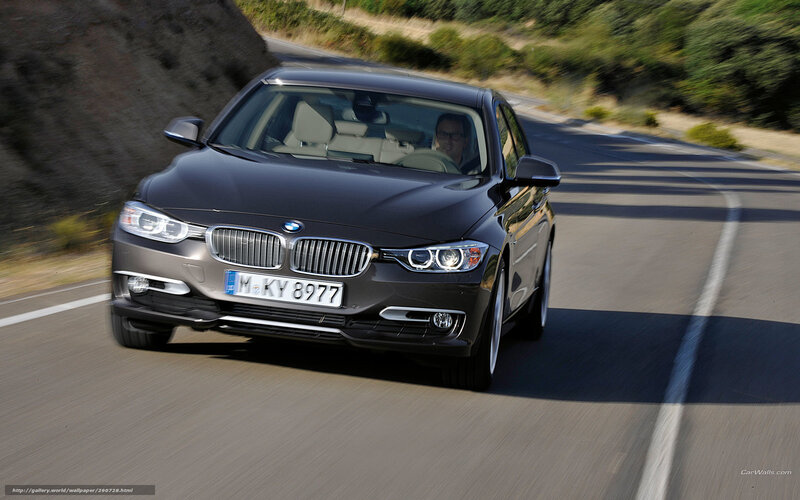 Black BMW Sedan — Gray, Dynamic, Afternoon