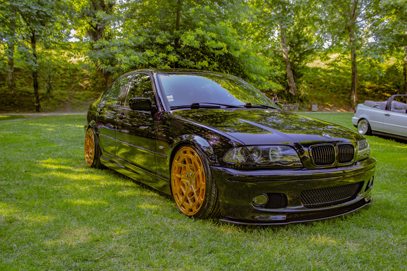Black BMW Sedan — Green, Serene