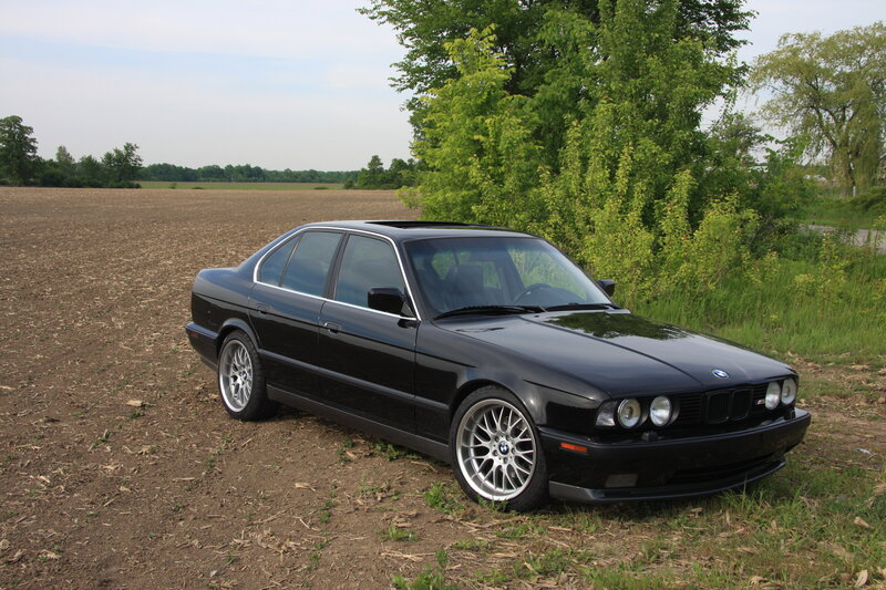 Black BMW sedan in a field