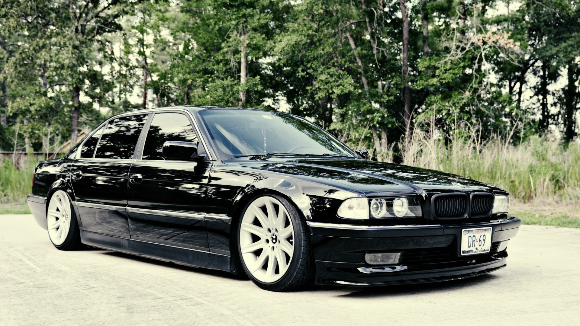 black bmw sedan in forest