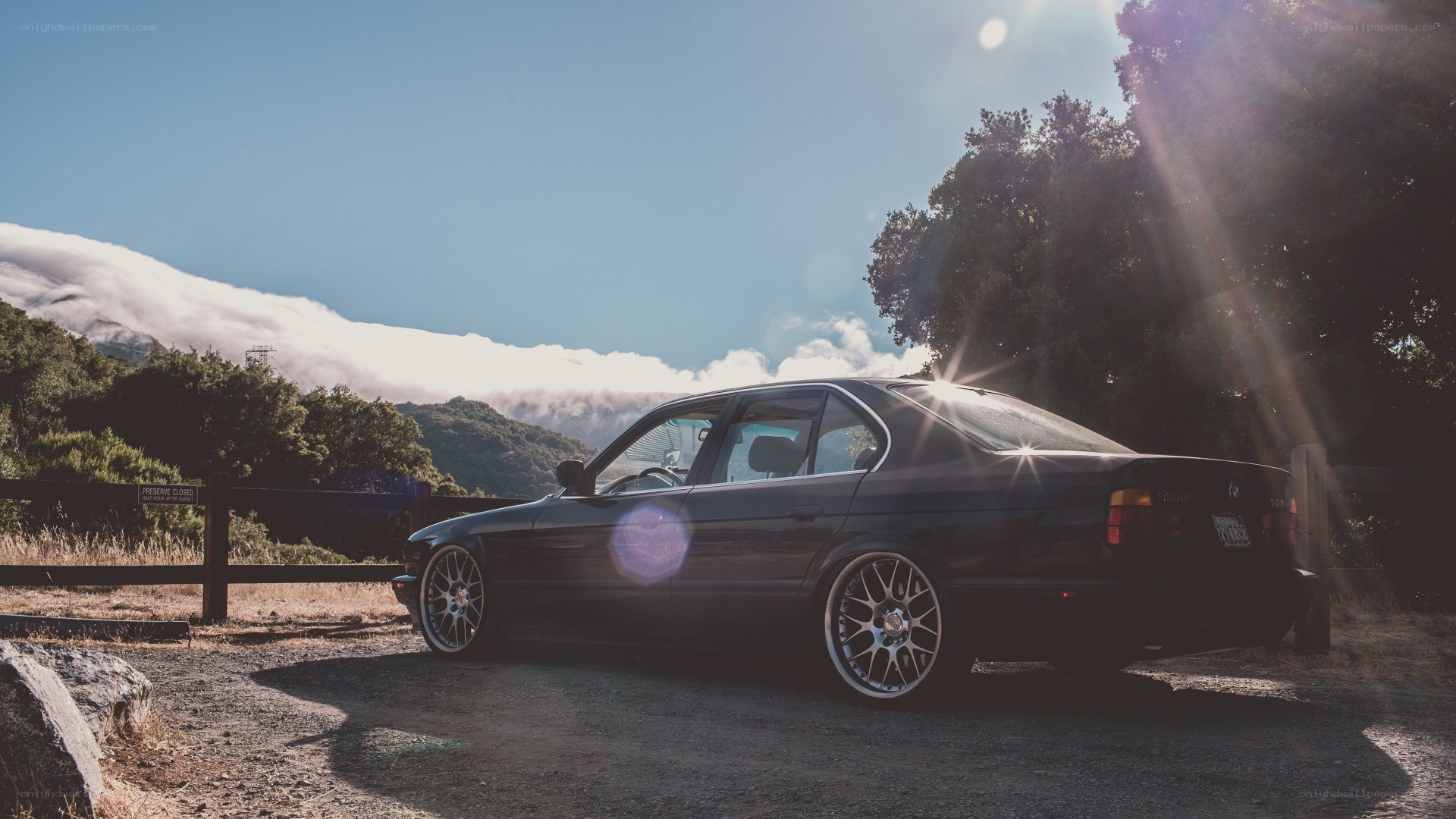 black bmw sedan in scenic view