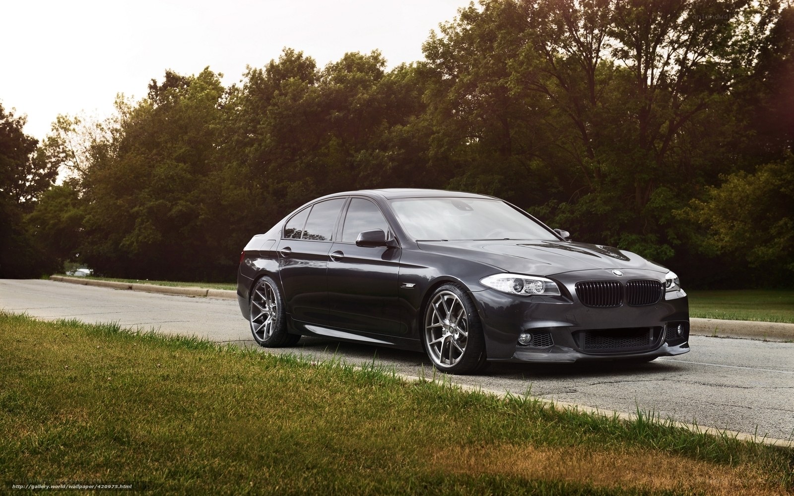 Black BMW sedan on a road