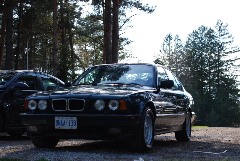 Black BMW Sedan — Serene, Afternoon, Photograph, Car, Trees