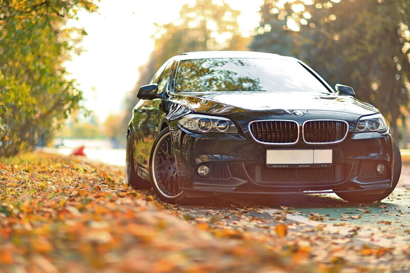 Black Bmw Sedan — Serene, Autumn